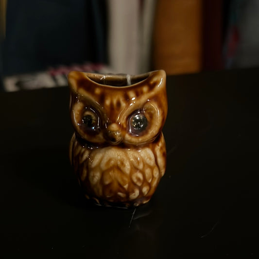 Ceramic Owl Match Holder